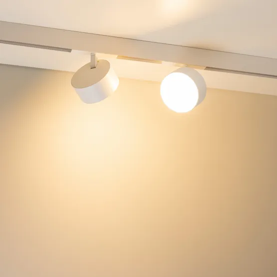 Фото #3 товара Светильник MAG-ORIENT-RONDO-R120-15W Day4000-MIX (WH, 110 deg, 48V, TUYA Zigbee) (Arlight, IP20 Металл, 5 лет)