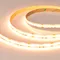 Минифото #4 товара Светодиодная лента COB-X560-10mm 24V Dim-To-Warm (14 W/m, IP20, 5m) (Arlight, Dim-To-Warm)