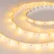 Минифото #4 товара Светодиодная лента RTW 2-5000SE 12V Yellow (5060, 150 LED, LUX) (Arlight, 7.2 Вт/м, IP65)