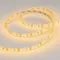 Минифото #2 товара Светодиодная лента RTW 2-5000SE 12V Yellow 2x (3528, 600 LED, LUX) (Arlight, 9.6 Вт/м, IP65)