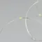 Минифото #2 товара Светодиодная гирлянда ARD-DEW-HOME-2000-CLEAR-20LED-STD White6000 (3V, Battery Pack) (Ardecoled, IP20)