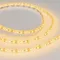 Минифото #4 товара Светодиодная лента RTW 2-5000SE 12V Yellow 2x (3528, 600 LED, LUX) (Arlight, 9.6 Вт/м, IP65)